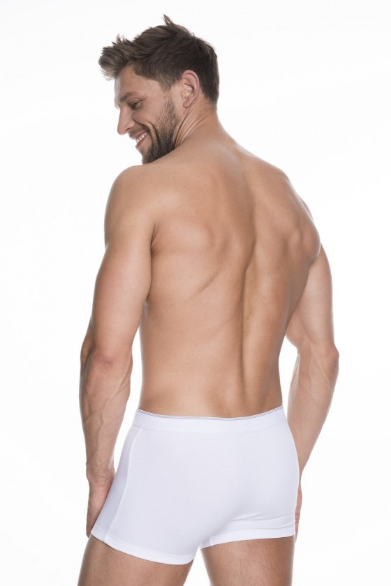 Boxers model 139412 Julimex